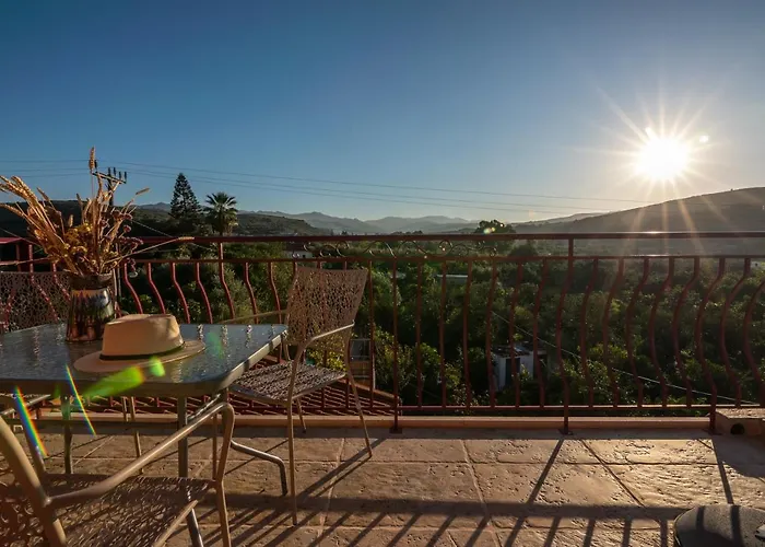 Avocado Fivos 干尼亞