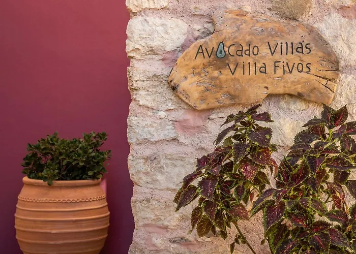 别墅 Avocado Fivos 干尼亞