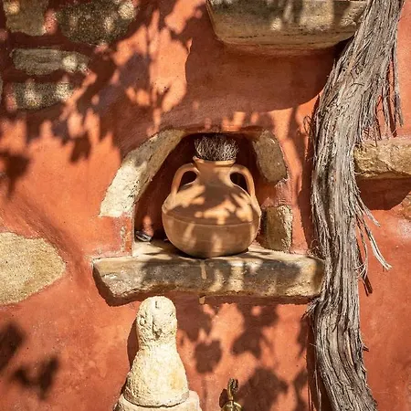 Avocado Fivos * Χανιά