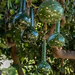 Willa Avocado Fivos Chania (Crete)