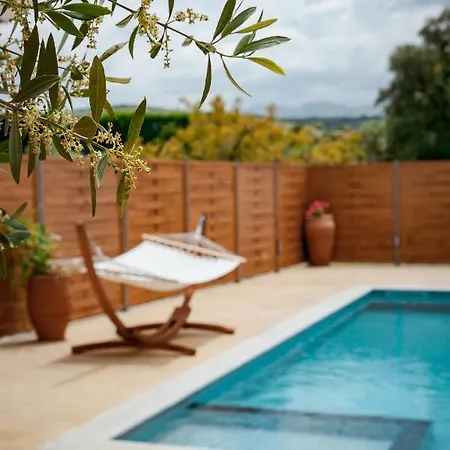 Avocado Fivos La Canée