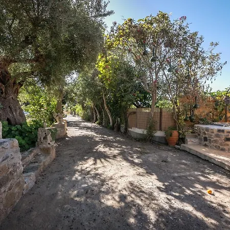 Villa Avocado Fivos