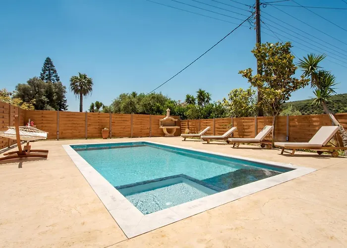 Avocado Fivos 하니아