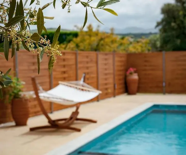 Avocado Fivos 하니아