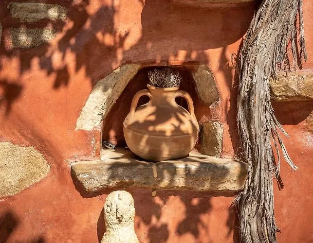 Avocado Fivos * 하니아