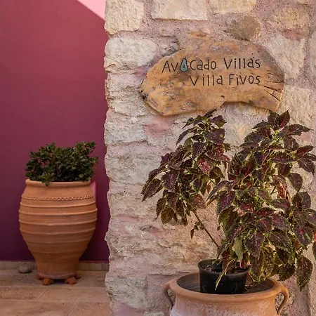 Avocado Fivos Chania (Crete)