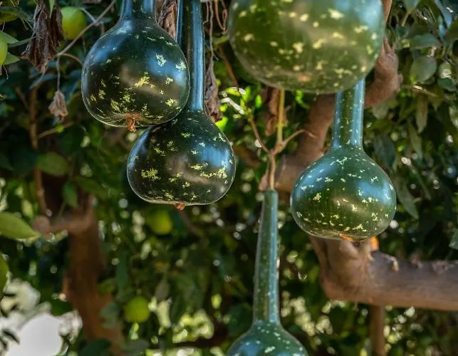 Вилла Avocado Fivos Ханья