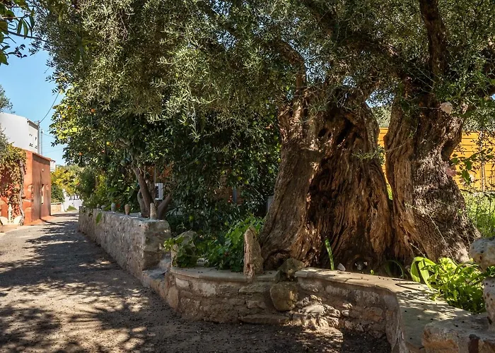 Avocado Fivos Вилла Ханья